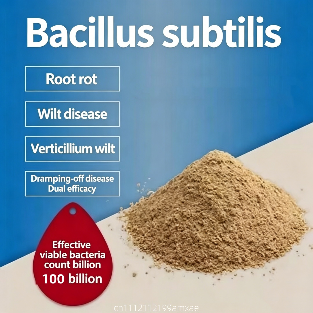 Aquarium Fertilizer - High Activity Bacillus Subtilis Powder Organic