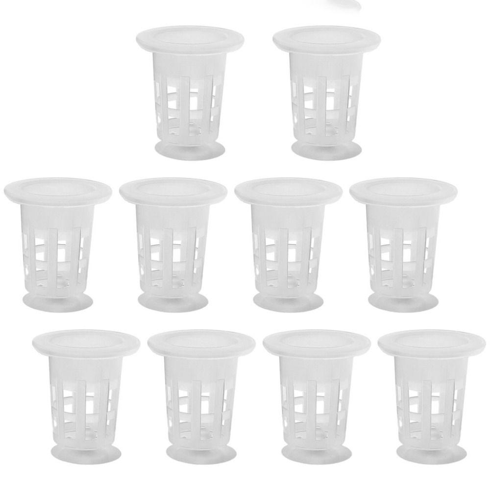 10Pcs Transparent Plant Hydrop - Plant Aquarium Pot review and price