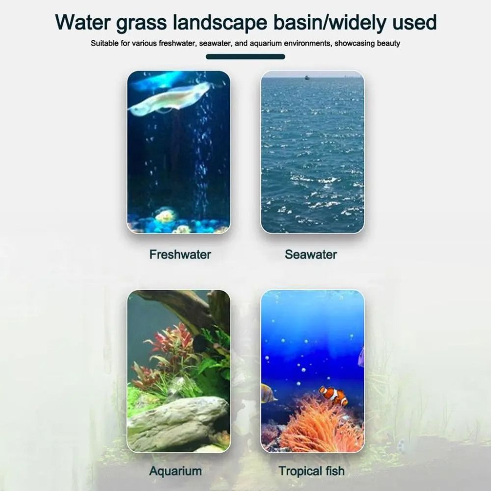 10Pcs Transparent Plant Hydrop - Plant Aquarium Pot review and price