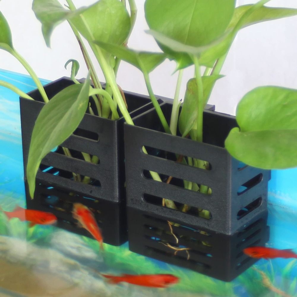 Aquarium Fish Tank Plant Holde - Aquarium Plant Holder review and price