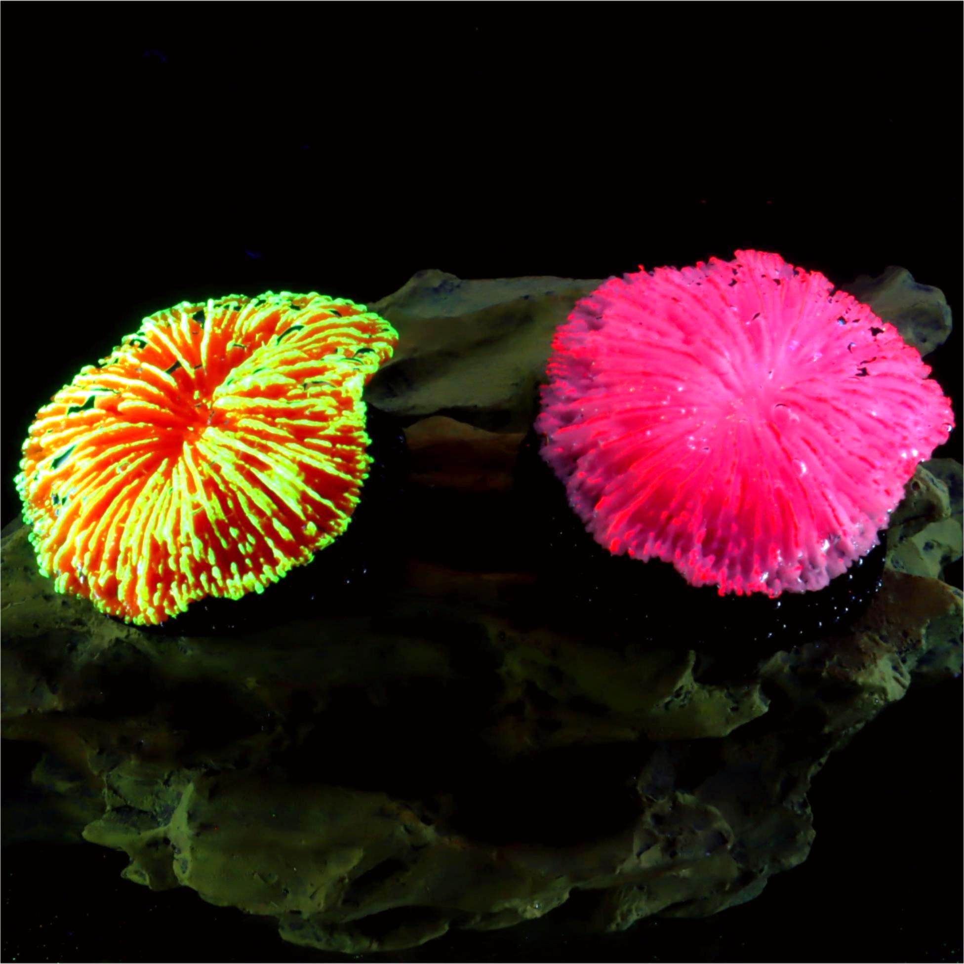1 Piece Aquarium Decoration Sa - Aquarium Plants Live review and price