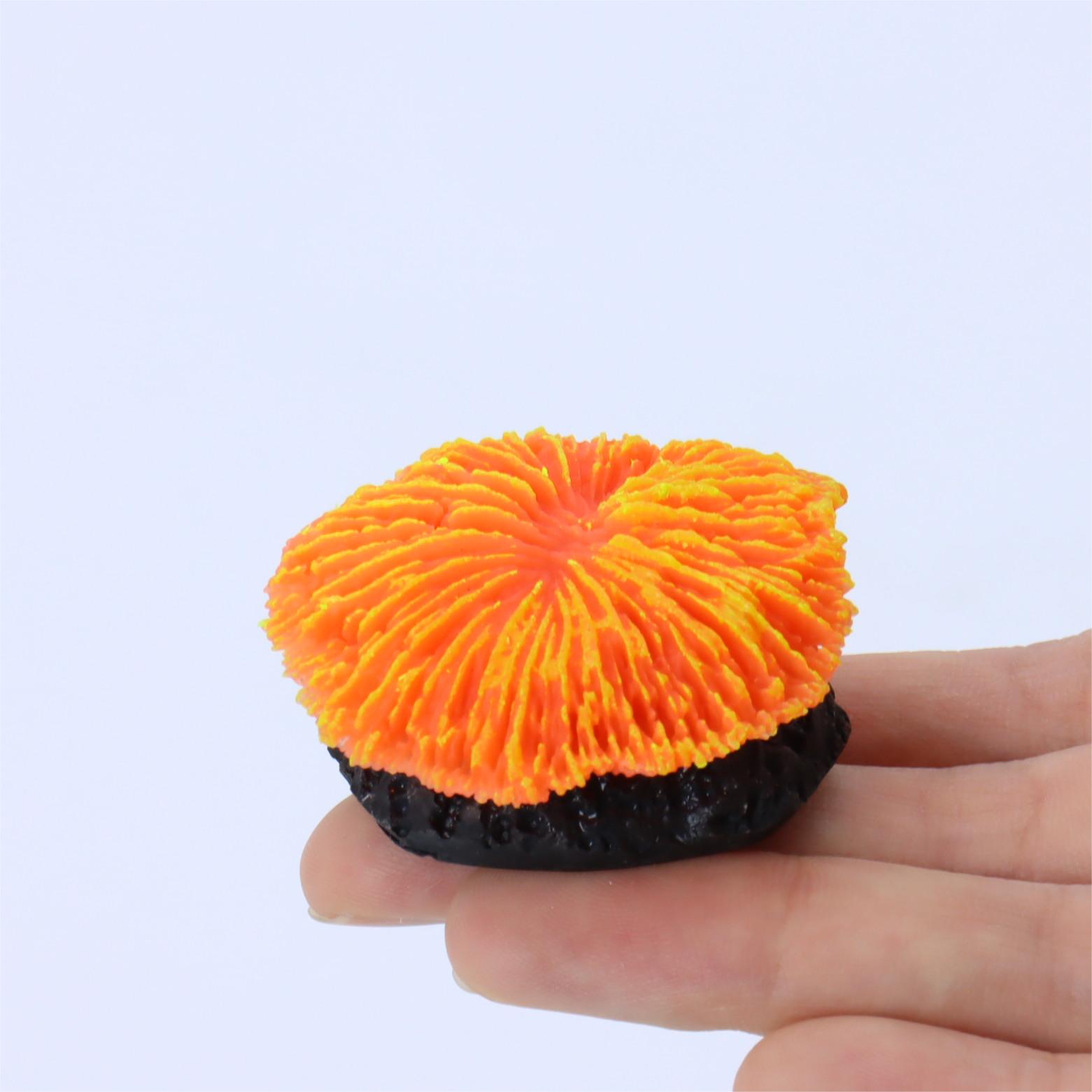 1 Piece Aquarium Decoration Sa - Aquarium Plants Live review and price