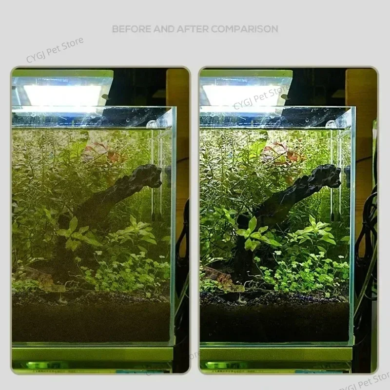 Fish Tank Cleaning Tool Flat S - Planted Aquarium Cleaning review and price