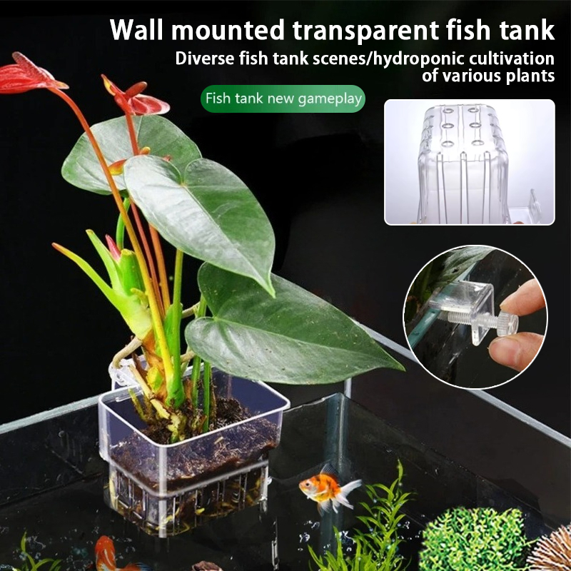 Aquarium Hanging Planter Cups  - Aquarium Plants Live review and price