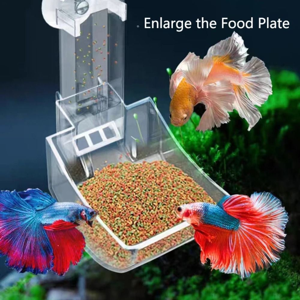 Transparent Aquarium Fish Tank - Aquarium Fertilizer review and price