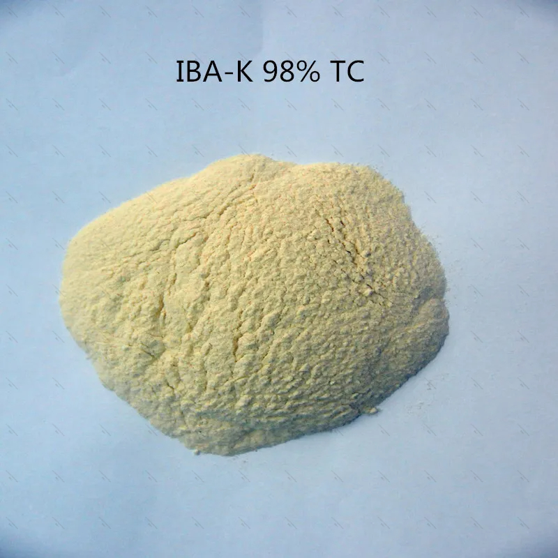 10Gram-1KG 98% IBA-K Water Sol - Aquarium Fertilizer review and price