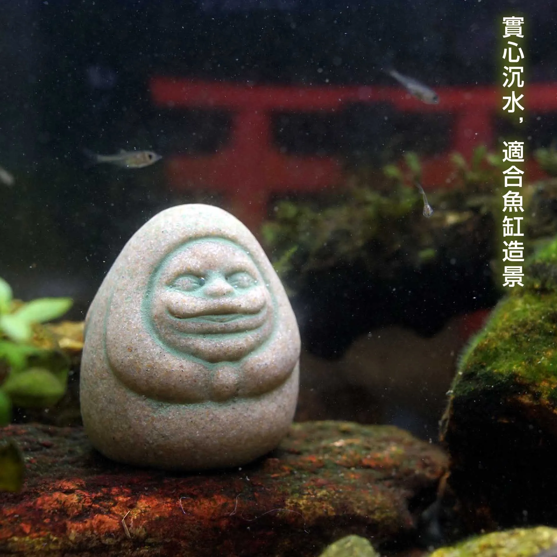 Kaminishi Hide Dharma Anime Sc - Aquarium Moss review and price