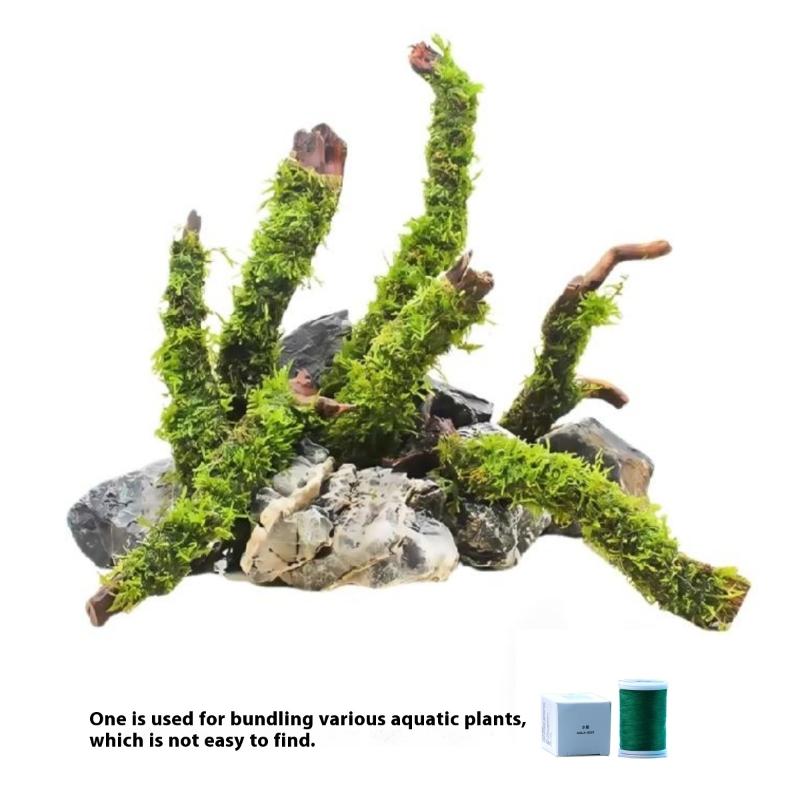 200M Naturally Degradable Moss - Aquarium Moss review and price