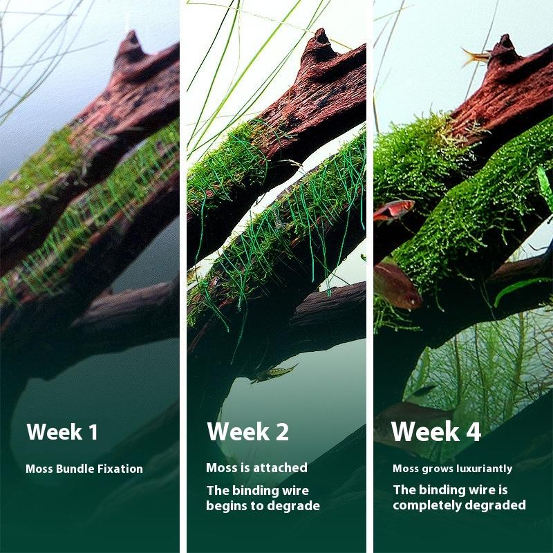 200M Naturally Degradable Moss - Aquarium Moss review and price