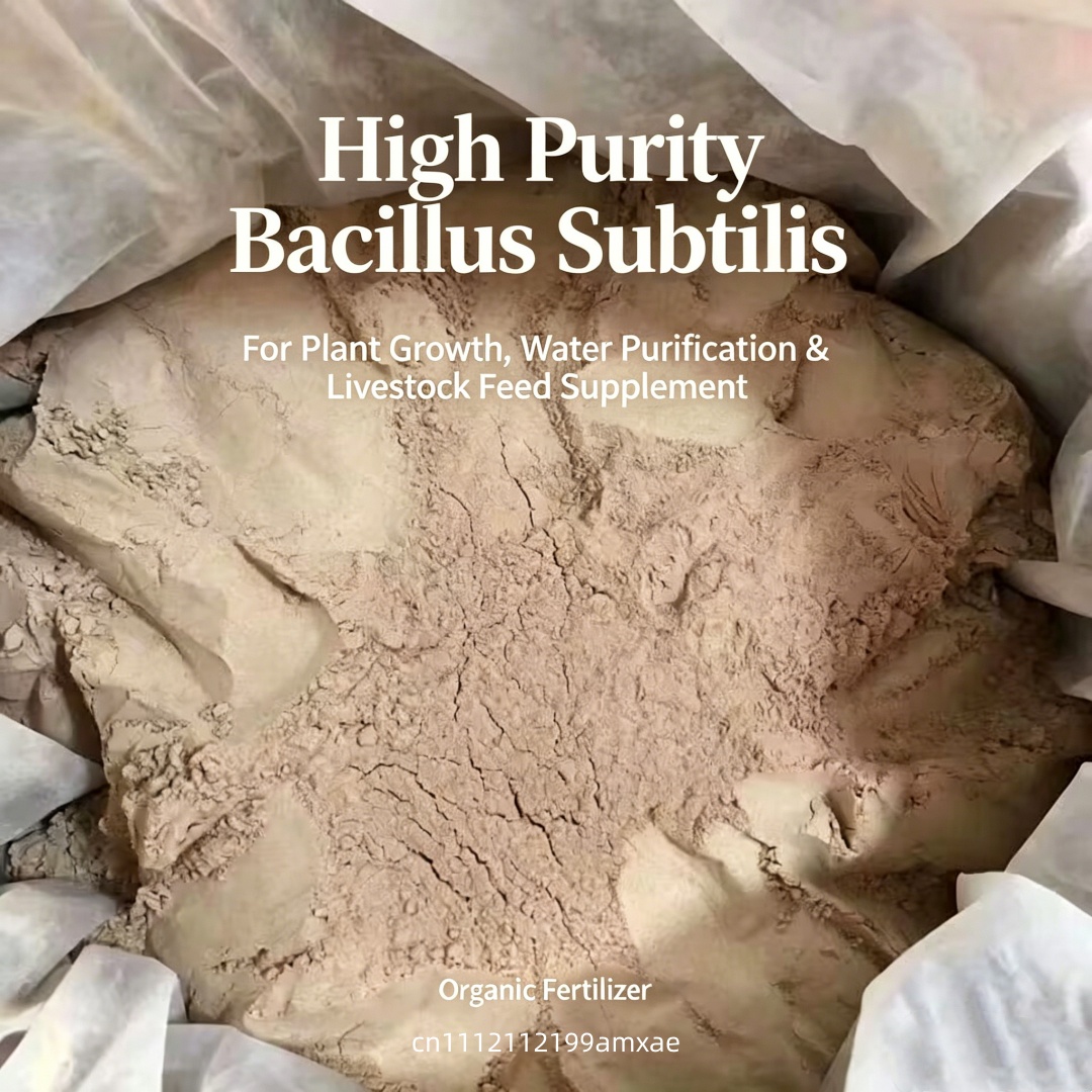 High Activity Bacillus Subtili - Aquarium Fertilizer review and price