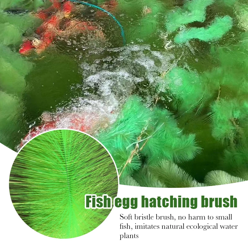 60Cm/100Cm Artificial Aquarium - Live Plant Aquarium review and price