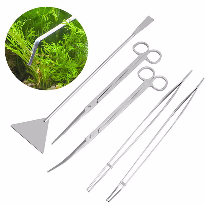 Professional Aquarium Maintena - Live Plant Aquarium review and price
