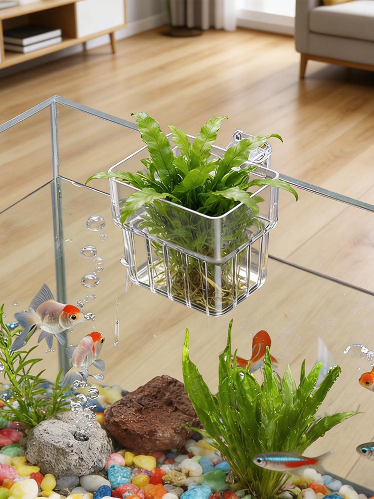 Aquarium Plant Holder Transpar - Plant Aquarium Pot review and price