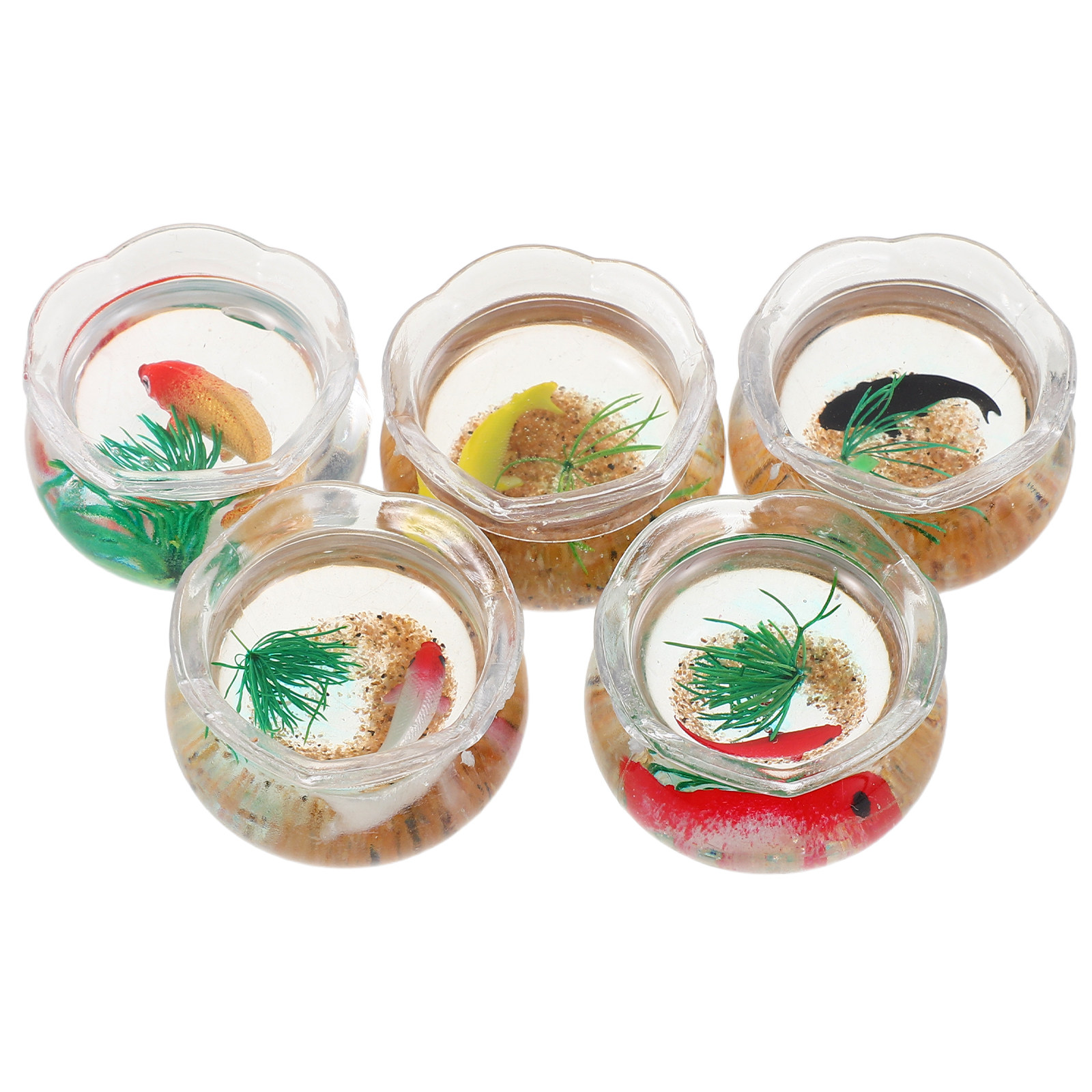 5pcs Mini Koi Fish Tank Set –  - Planted Tank review and price