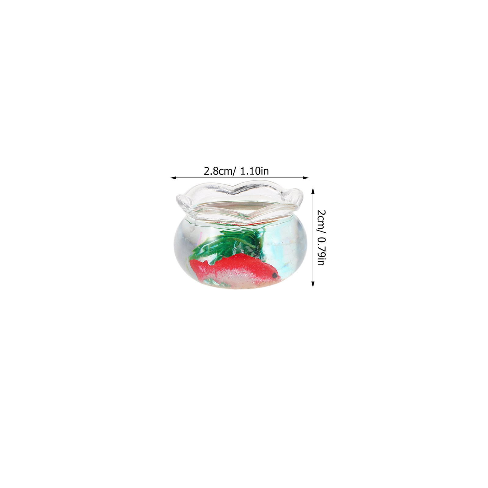 5pcs Mini Koi Fish Tank Set –  - Planted Tank review and price
