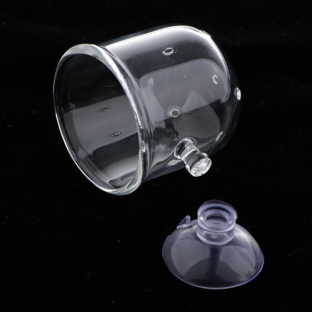 Fish Feeding Basket Glass Aqua - Aquarium Plants Live review and price