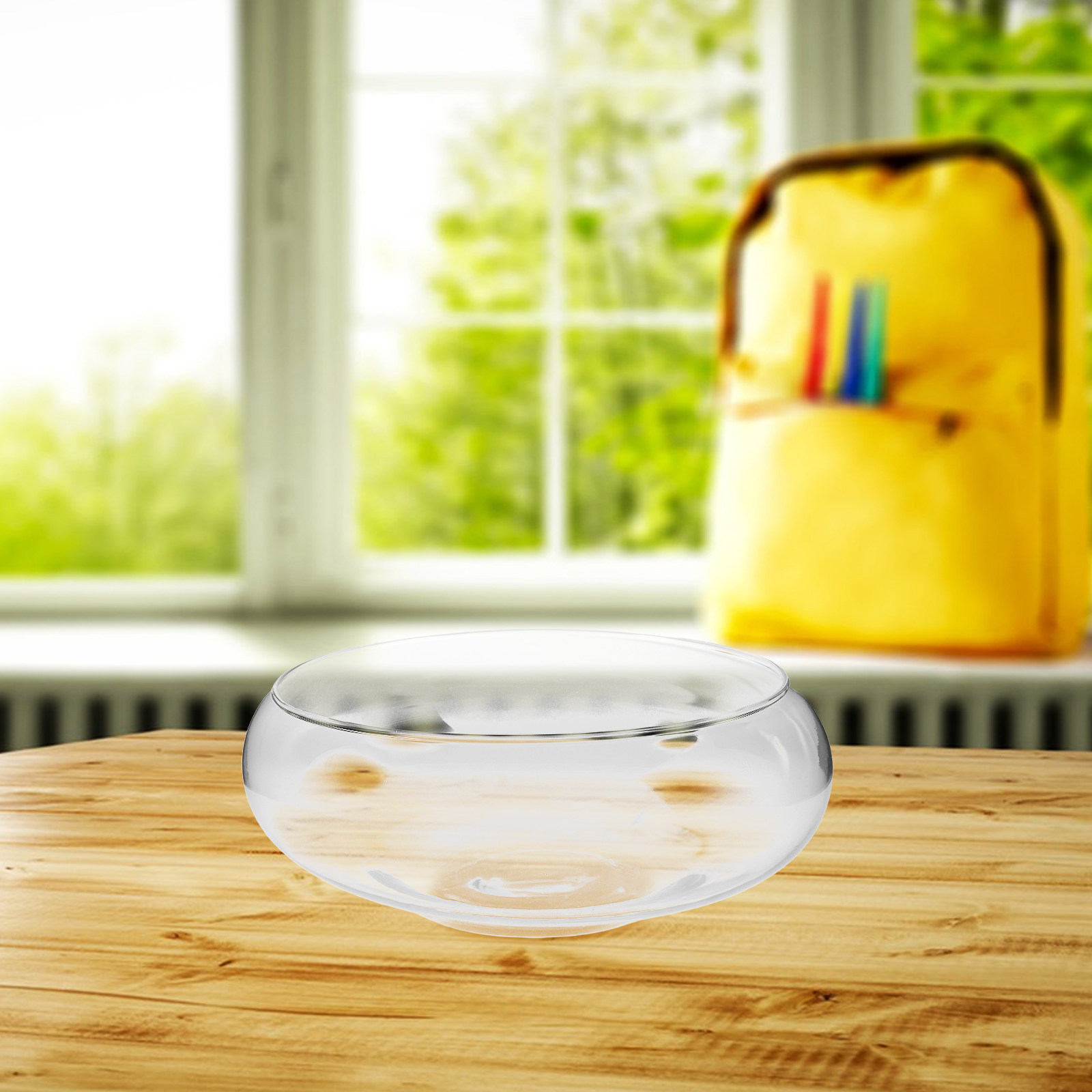 Glass Hydroponic Planter Bowl  - Planted Tank review and price