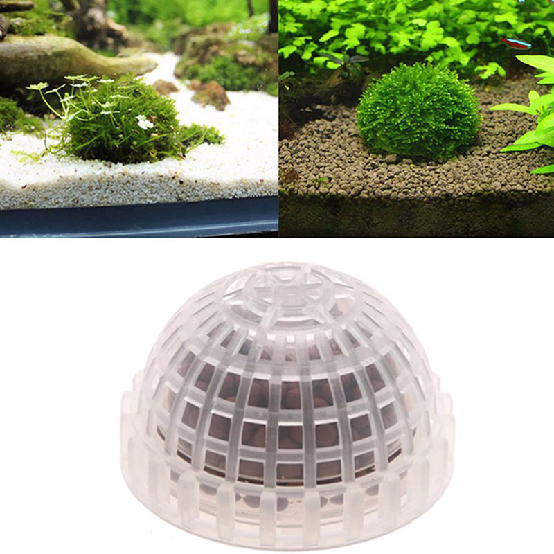 【B】Aquatic Pet Supplies Decora - Live Plant Aquarium review and price