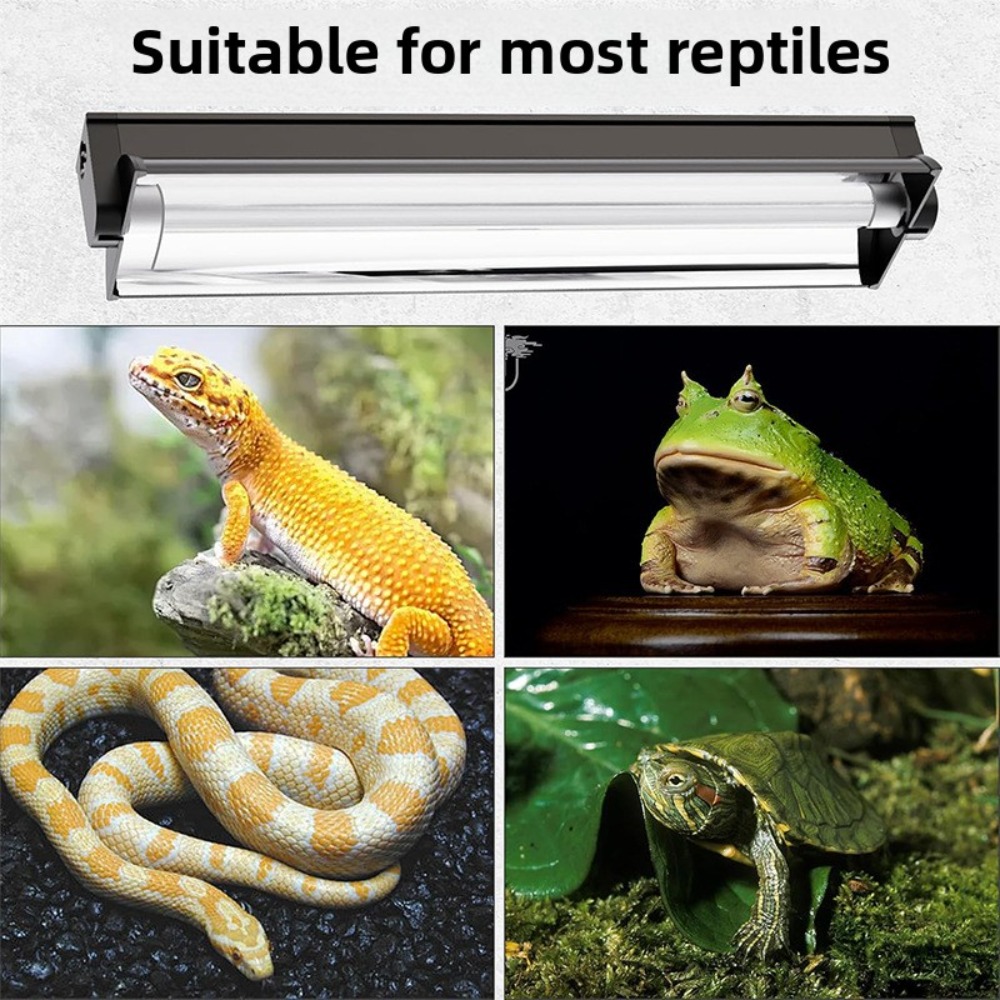 Planted and Reptile Terrarium  - Planted Tank review and price