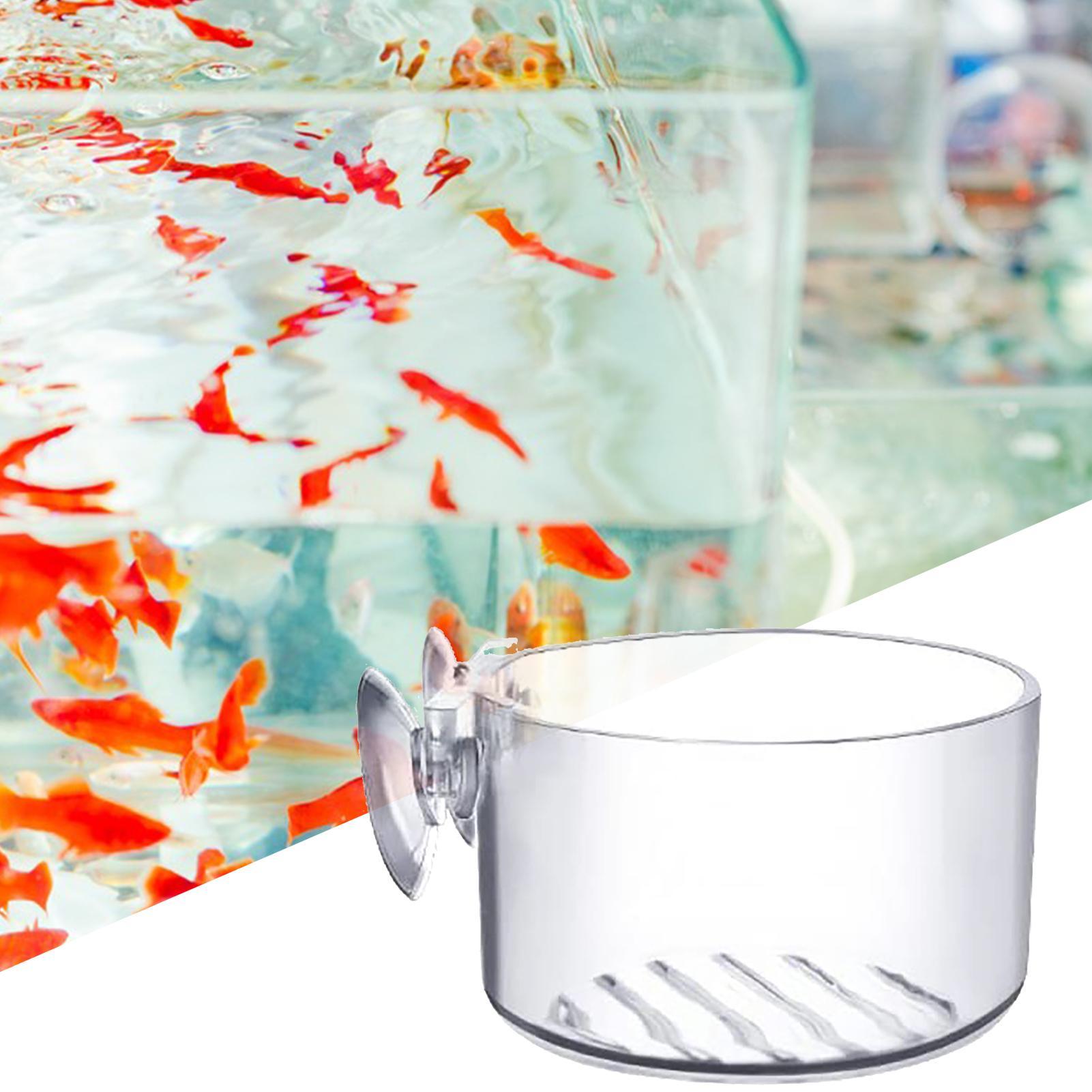 Acrylic Aquatic Plant Cup Aqua - Aquarium Moss review and price