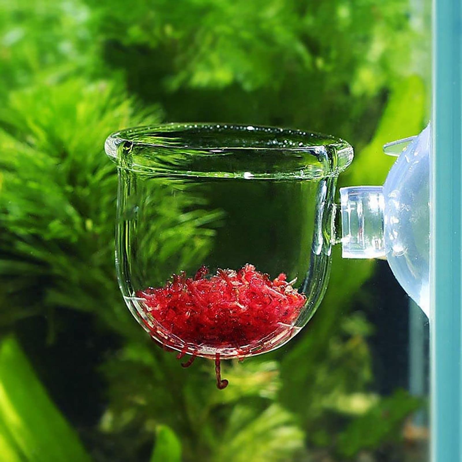 Acrylic Aquatic Plant Cup Aqua - Aquarium Moss review and price