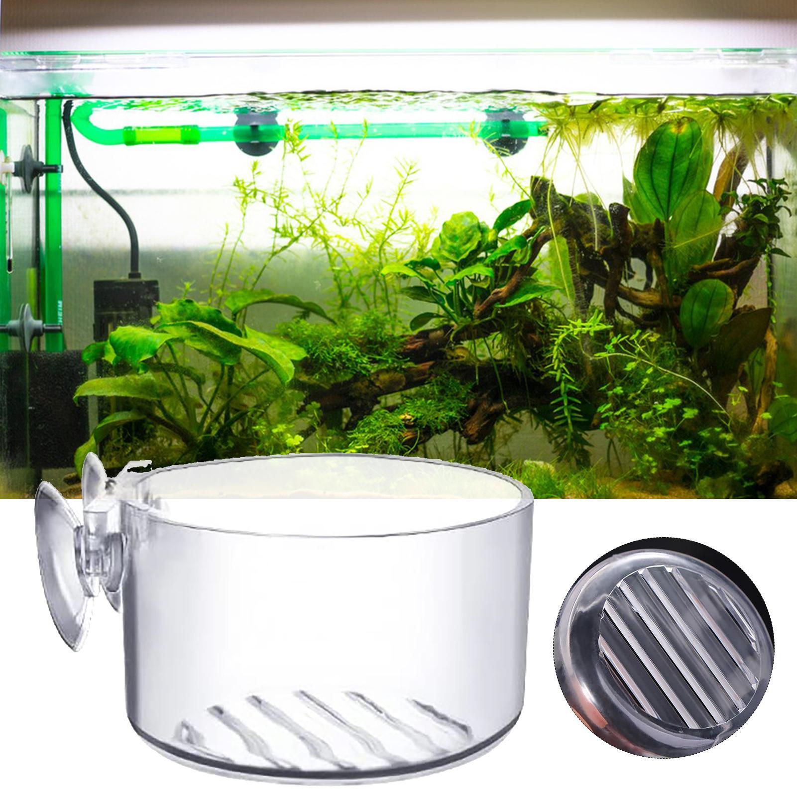 Acrylic Aquatic Plant Cup Aqua - Aquarium Moss review and price