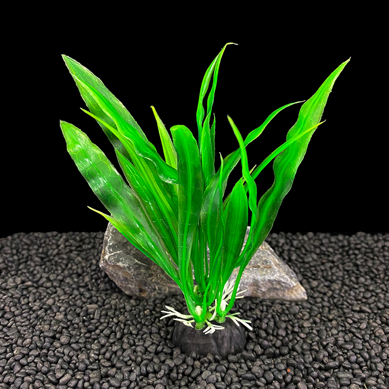 6pcs Packs Aquarium Plants, Fi - Aquarium Plants Live review and price